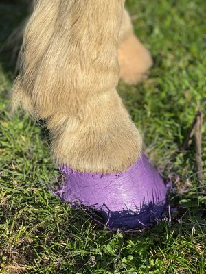 Waterproof Hoof Paint