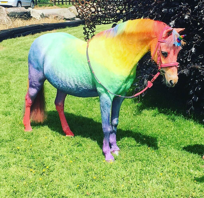 Rainbow unicorn & glitter kit 