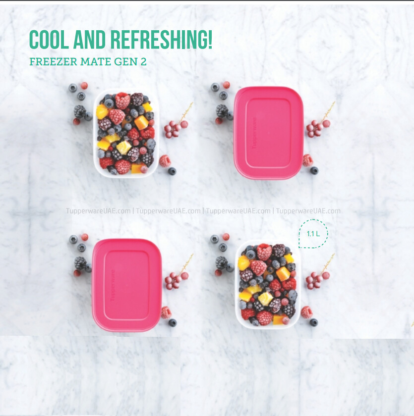 Tupperware Freezer Mate Gen-II  1.1L Set of 2