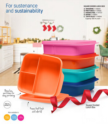 Tupperware Square Divided Lunch Box New /pc