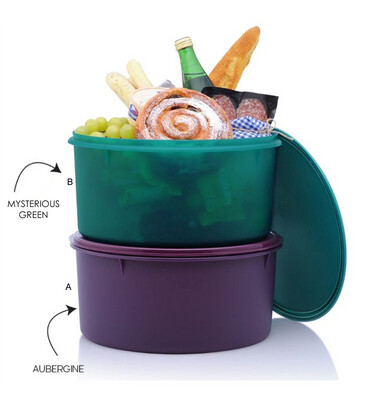 Tupperware Takes A Lot Bowl -10L