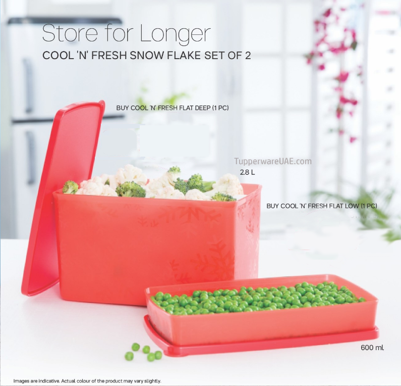 Tupperware Cool N Fresh Flat Deep 2.8L - 1pc