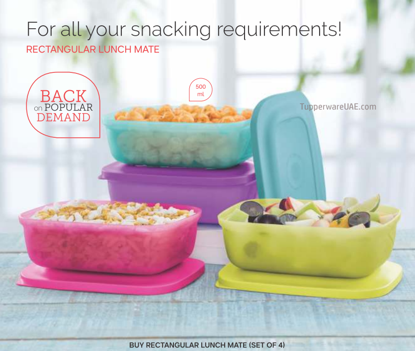 Tupperware Rectangular Lunch Mate Set