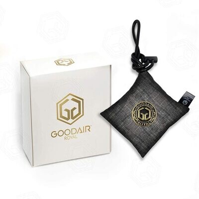 GOODAIR ROYAL Non-electric Indoor CAR Air Purifier - Elegant Silver