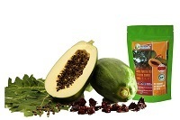 Papaya Tea for Slimming and Detoxification