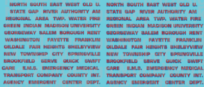 HO Scale - Generic Ambulance Name Decals - Red/Black