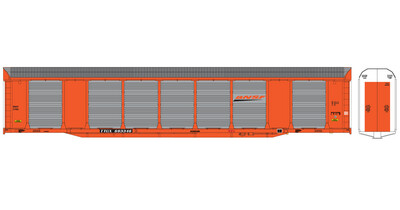 BNSF Bi-Level Autorack TTGX Modern Logo Decals