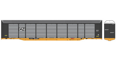 Canadian National Bi-Level Autorack TTGX Black Decals
