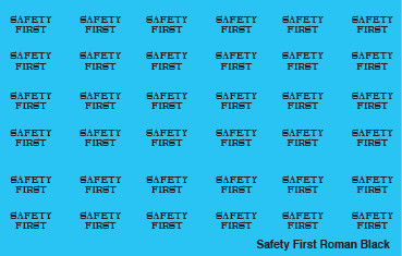 Labels - Safety First Roman Decal Set