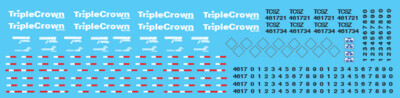 Semi Trailer Ghosted TripleCrown Small Logo