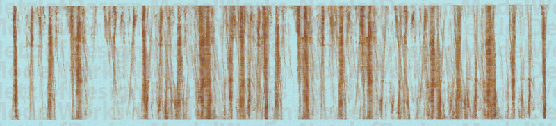 Rusty Roof Lines Weathering Set