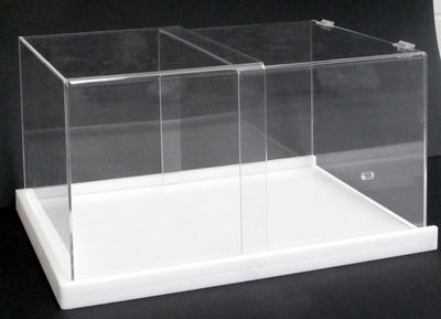 Attrezzature e forniture per attività