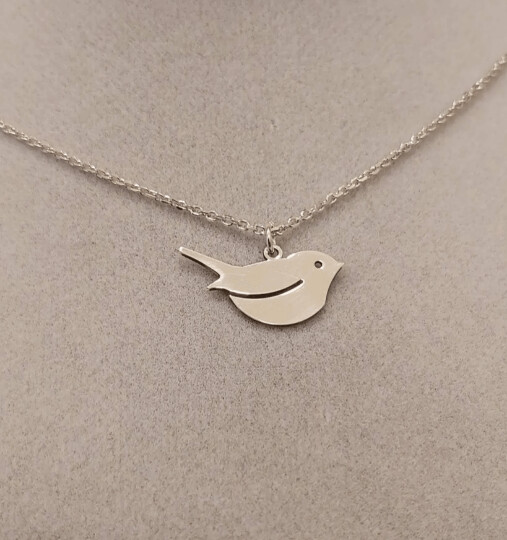 Pájaro