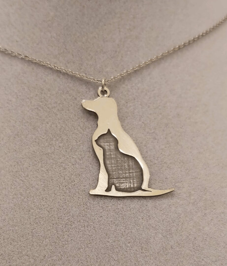 Perro-gato
