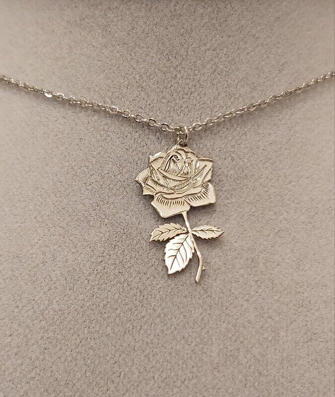 Rosa