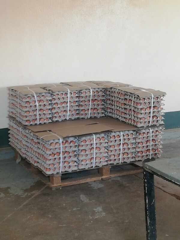 Eggs 30/tray