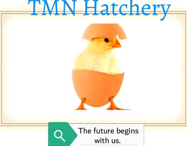 TMN Hatchery