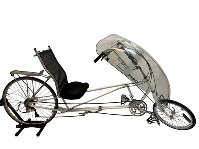 EZ Racer Gold Rush Recumbent Bike EZ Racer Gold Rush Recumbent Bike