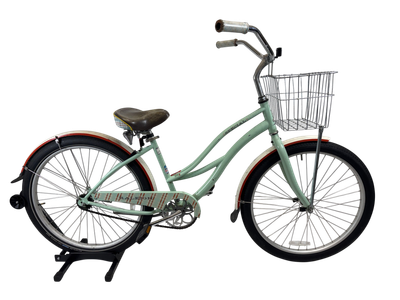 Raleigh Special Single Speed Cruiser Bike Raleigh Special Single Speed Cruiser Bike