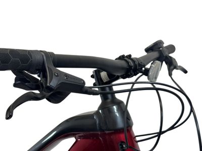 Large Trek Powerfly 4 Electric Mountain Bike