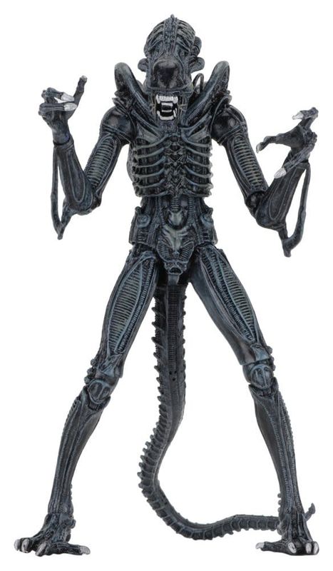 Aliens - Figurine Ultimate Warrior (1986) Blue 23 cm - NECA