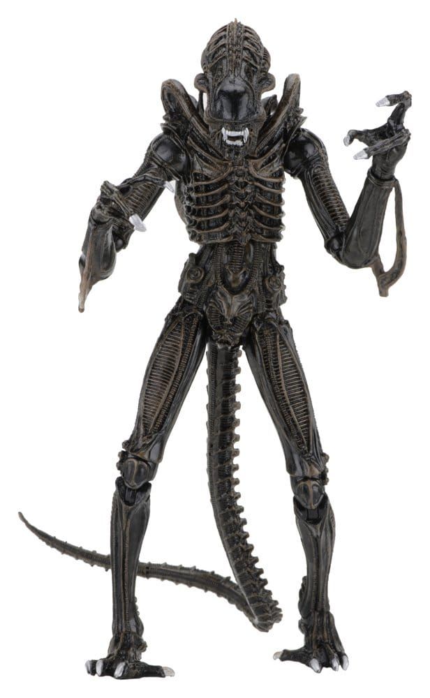 Aliens - Figurine Ultimate Warrior (1986) Brown 23 cm - NECA