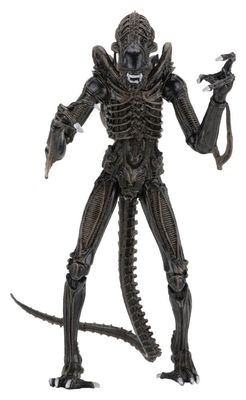 Aliens - Figurine Ultimate Warrior (1986) Brown 23 cm - NECA