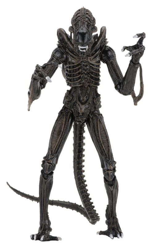 Aliens - Figurine Ultimate Warrior (1986) Brown 23 cm - NECA