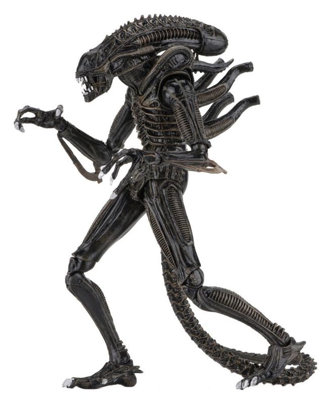 Aliens - Figurine Ultimate Warrior (1986) Brown 23 cm - NECA