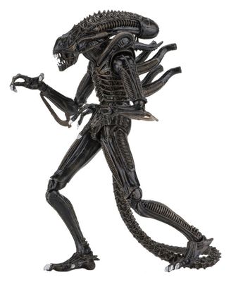 Aliens - Figurine Ultimate Warrior (1986) Brown 23 cm - NECA