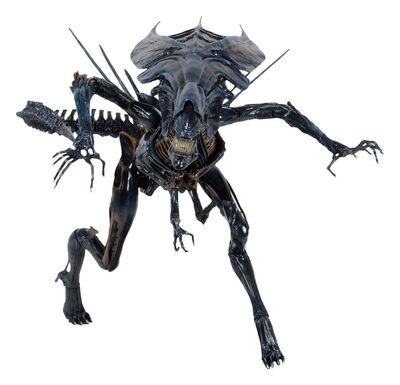 Aliens - Figurine Ultra Deluxe Alien Queen (40th Anniversary) 38 cm - NECA