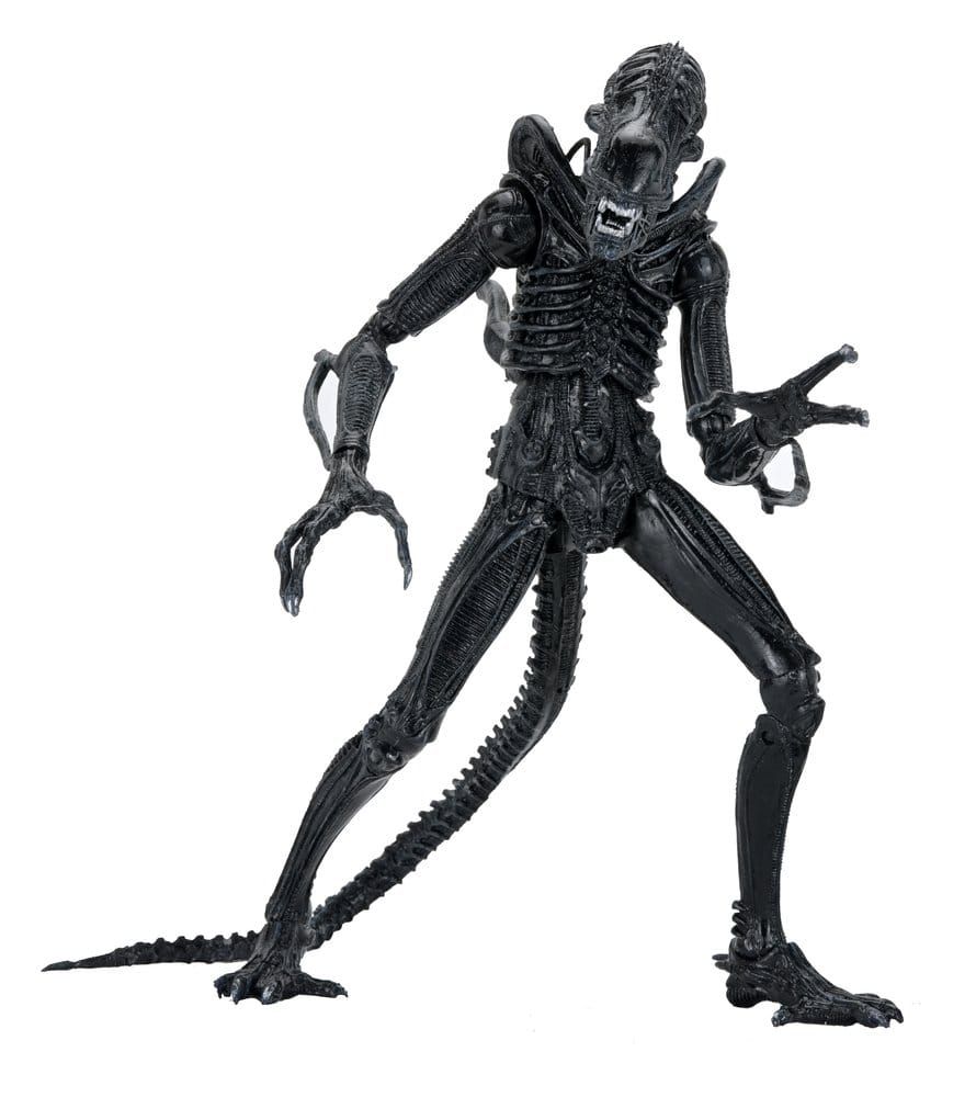 Aliens - Figurine Ultimate Warrior (1986) Xenomorph Black (40th Anniversary) 23 cm - NECA