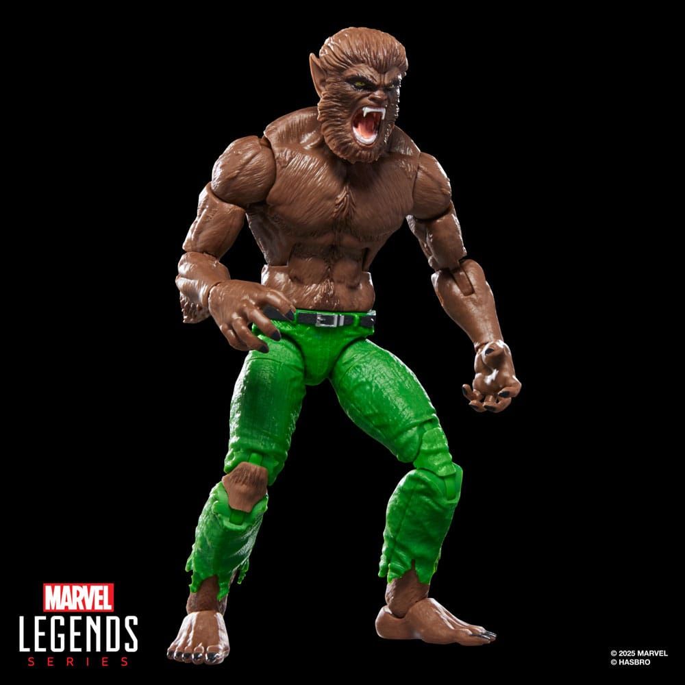 Marvel Legends Action - Figurine Werewolf by Night (BAF: Executioner) 15 cm - Hasbro Marvel Legends Action - Figurine Werewolf by Night (BAF: Executioner) 15 cm - Hasbro