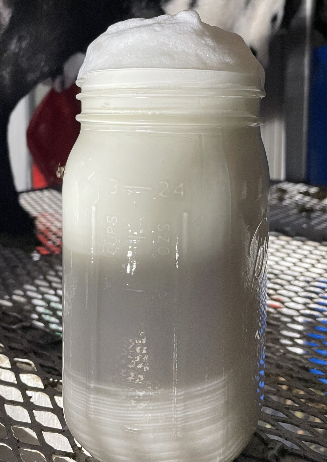 Fresh Goat Milk