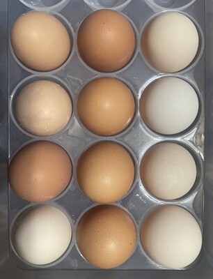 Farm Fresh Eggs