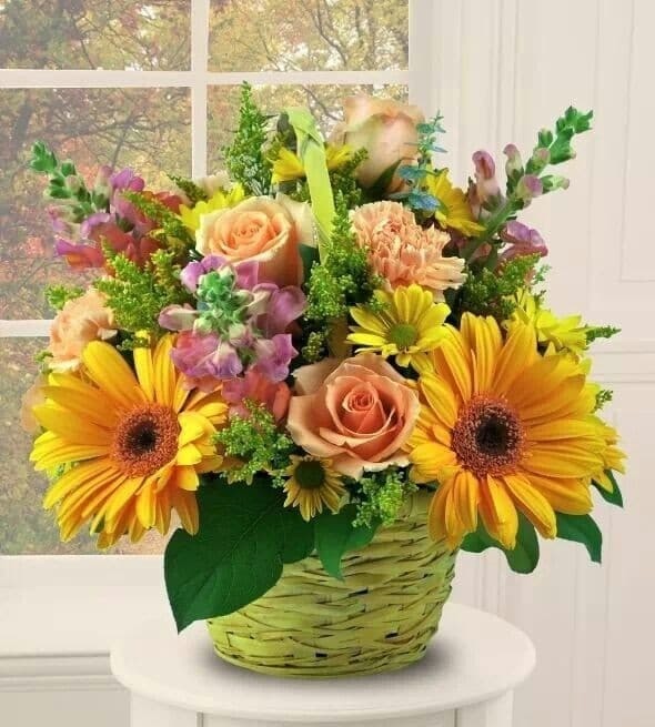 CESTINO SPRING EXPLOSION
