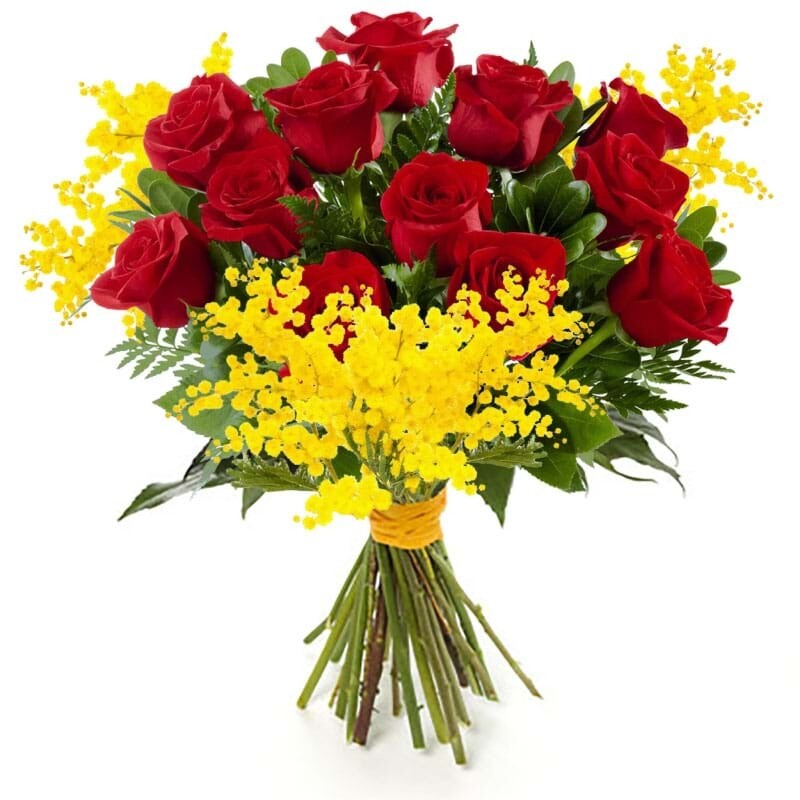 12 rose medie con mimosa