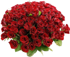 MAXI BOUQUET
