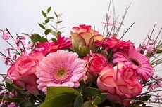 FESTA della MAMMA