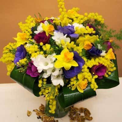 mimosa anemoni fresie