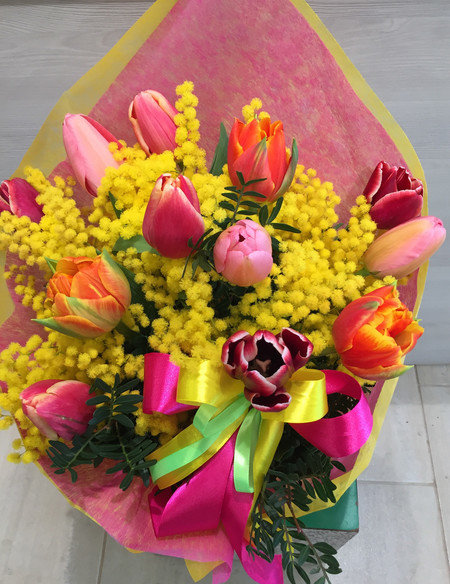 tulipani (pz.12) e mimosa