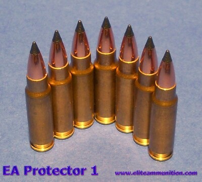ProtecTOR I