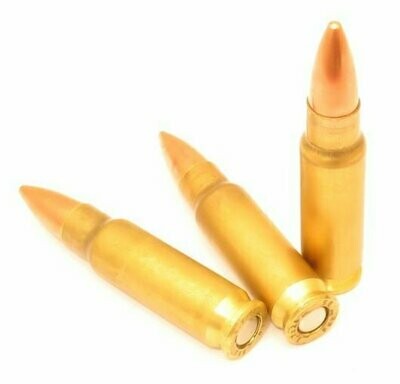 55gr Sub Sonic FMJ