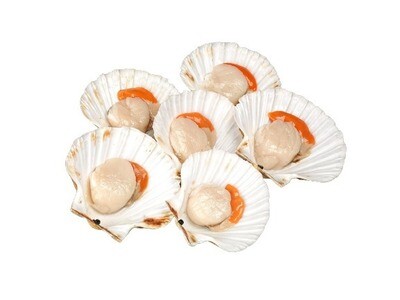 HALF SHELL SCALLOP - 1KG PER PACK - SIZE 8 TO 9 CM