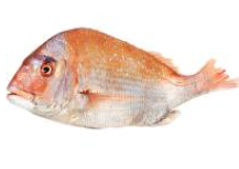 WHOLE RED SNAPPER - FROZEN - 400-500 GMS