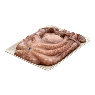 ATLANTIC WILD CAUGHT OCTOPUS 900GMS