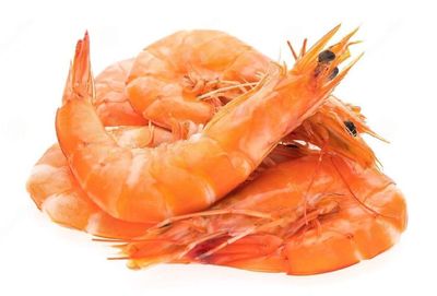 FROZEN COOKED LIVE WHITE SHRIMP SIZE 26/30