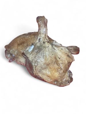 IRISH DUCK LEG CONFIT (SILVER HILL) - 200-250 GMS IRISH DUCK LEG CONFIT (SILVER HILL) - 200-250 GMS