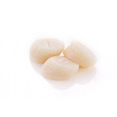 SCALLOPS SASHIMI GRADE - JAPAN HOKKAIDO - 500G PER PACK SCALLOPS SASHIMI GRADE - JAPAN HOKKAIDO - 500G PER PACK