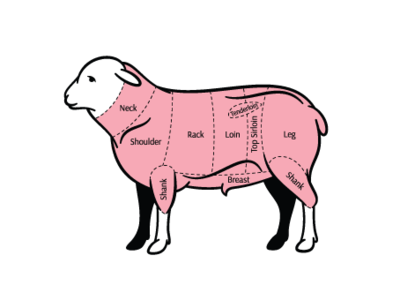 Lamb